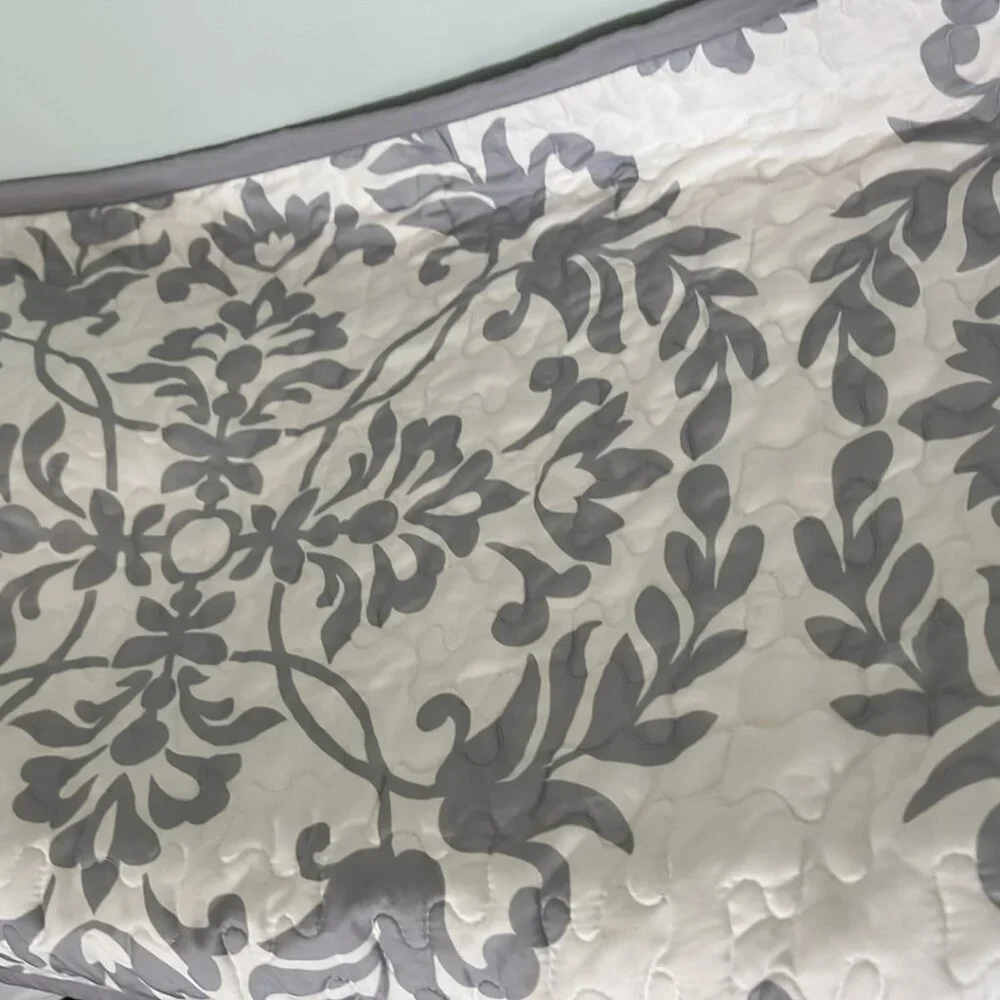 Set‎ of 2 Target King Size Pillow Shams (20